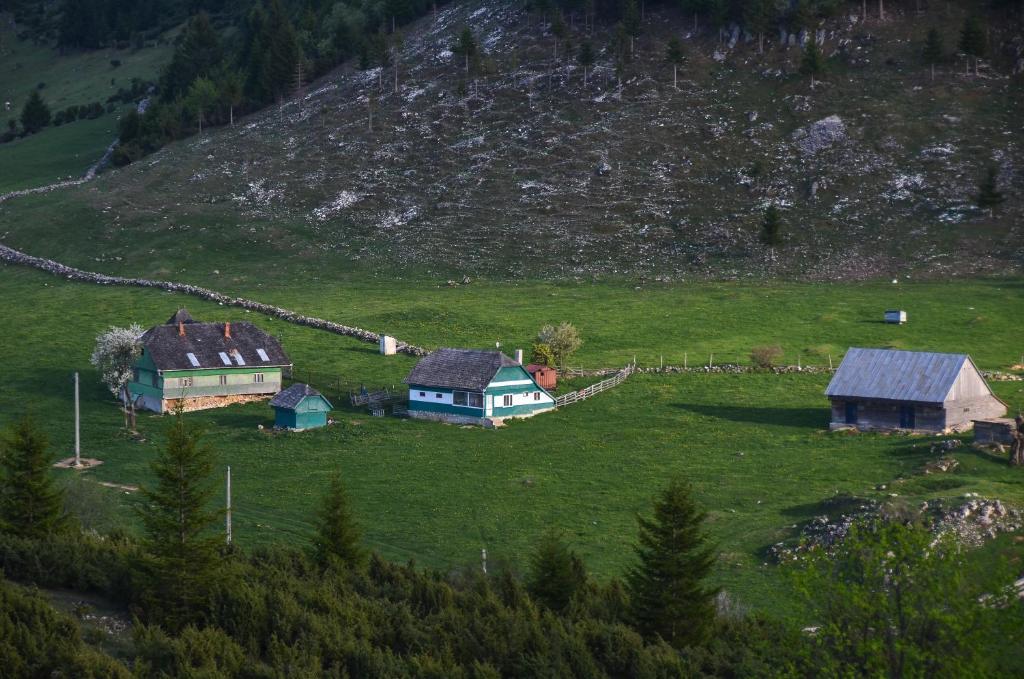 Cheile Gradistei Fundata Resort Exterior photo